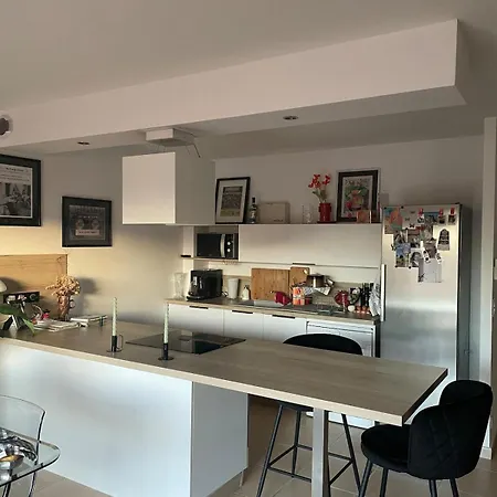 Apartment House With Terrace 10 Minutes From The Perpignan